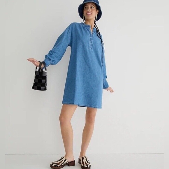 J Crew Indigo Button-Up Shift Dress, NEW - Picture 2 of 11